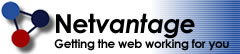 Netvantage Internet Web Design Logo - Home